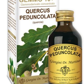 GEMMO 10+ QUERCIA 100 ML LIQUIDO ANALCOLICO