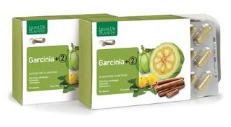 GARCINIA +2 90 CAPSULE