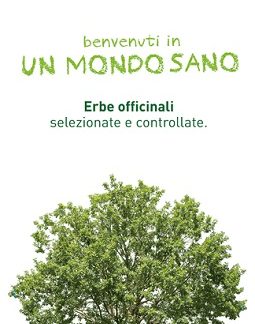 ARGILLA VE SUPER VENTILATA 1KG