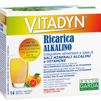 VITADYN RICARICA ALKALIN 14 BUSTINE