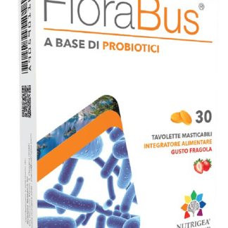 FLORABUS 30 TAVOLETTE