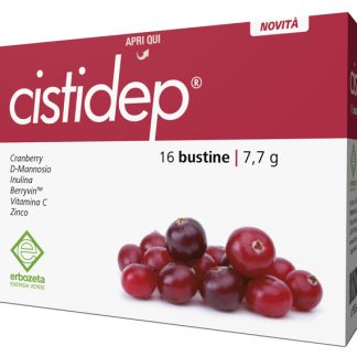 CISTIDEP 16 BUSTINE