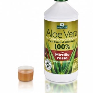 ALOE VERA SUCCO MIRTILLO ROSSO 1 L