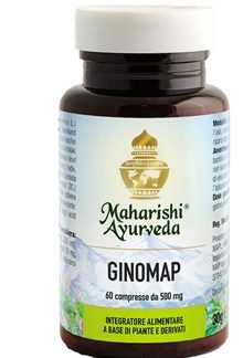 GINOMAP 60 COMPRESSE