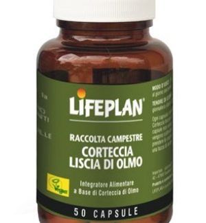 CORTECCIA LISCIA DI OLMO 50 CAPSULE