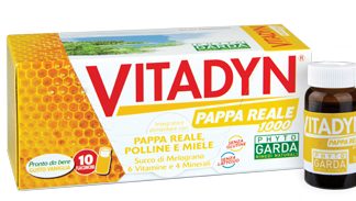 VITADYN PAPPA REALE 1000 10 FLACONCINI 10 ML