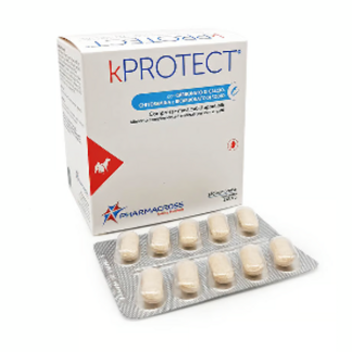 kPROTECT N120