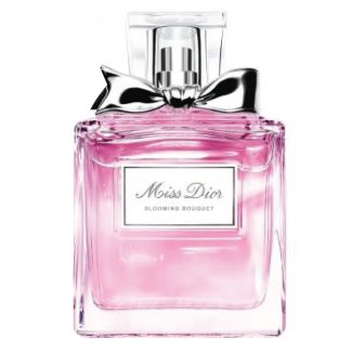 Christian Dior BE322BE74BD127GS