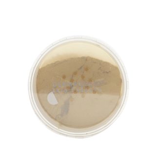 DermaQuest 6CEF2BE215F6F5GS DERMAQUEST - DermaMinerals Buildable Coverage Loose Mineral Powder SPF 20 - # 3W 11.4g/0.4oz