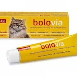 Bolo Via pasta