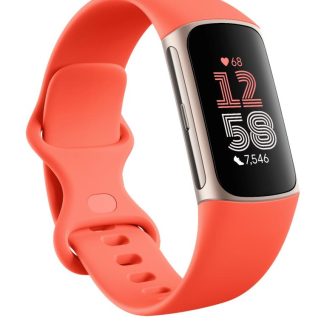 FITBIT 65AACHL142F2E2GS