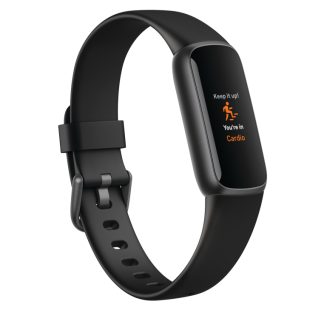 FITBIT 4C2F1HL6AE8F91GS