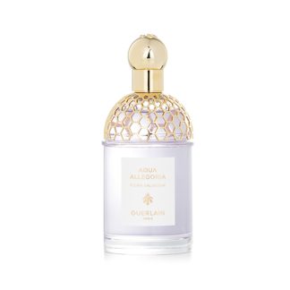 Guerlain 76D0BBE938FC06GS GUERLAIN - Aqua Allegoria Flora Salvaggia Eau De Toilette Spray 125ml/4.2oz