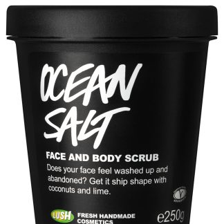 Lush Fresh Handmade Cosmetics 2C675BEACE4013GS