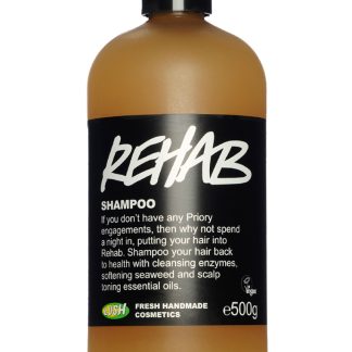 Lush Fresh Handmade Cosmetics 1A883BE6BEA251GS