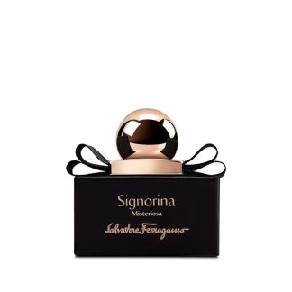 Salvatore Ferragamo 99F44BEEA90300GS