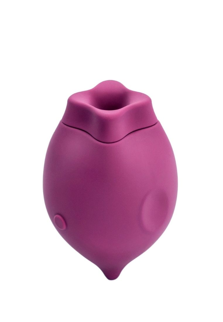 Smile Makers 3A86CBE19C378DGS The Poet - Clitoral Suction Vibrator