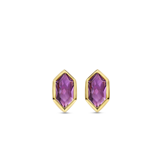 TI SENTO Earrings 7944PU
