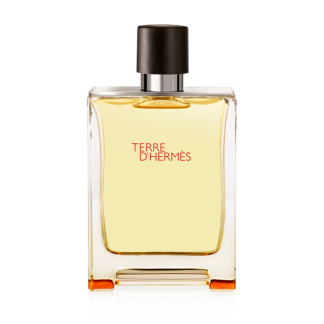 Hermes Terre d’Hermes 100ml EDT