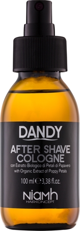 DANDYAfter Shave lozione after-shave 100 ml