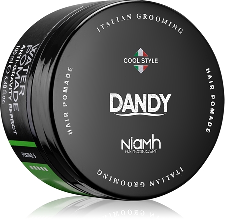 DANDYWater Pomade Anti-Gravity Effect pomata per capelli fissante forte 100 ml