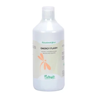 Energie Flash Nutragile