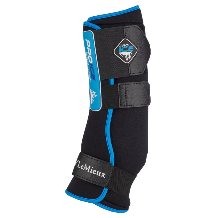 Guêtres LeMieux ProIce Freeze