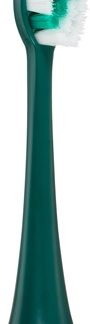 SeagoReplacement Heads SG-C002 testine di ricambio per spazzolino