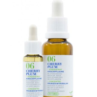 PHYTOMED Bachblüten No6 Kirschpflaume Fl 10 ml
