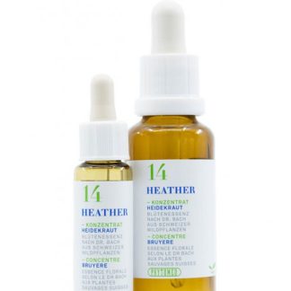 PHYTOMED Bachblüten No14 Heidekraut Fl 10 ml