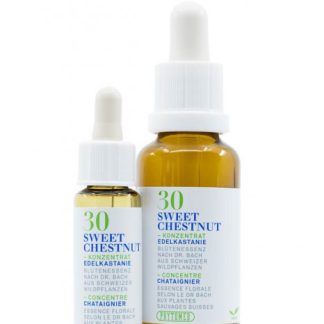 PHYTOMED Bachblüten No30 Edelkastanie Fl 10 ml