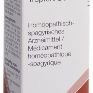 Mundipur Tropfen Fl 100 ml