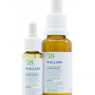 PHYTOMED Bachblüten No38 Gelbe Weide Fl 30 ml