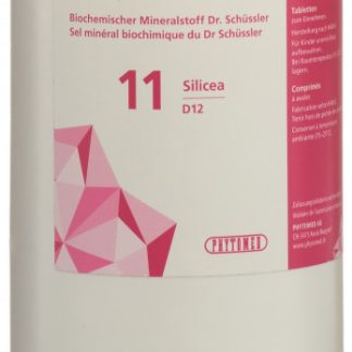 PHYTOMED SCHÜSSLER Nr11 Silicea Tabl D 12 Ds 1 kg