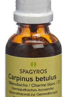 Spagyros Gemmo Carpinus betulus Glyc Maz D 1 Spr 30 ml