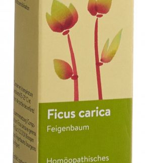 Spagyros Gemmo Ficus carica Glyc Maz D 1 Spr 30 ml
