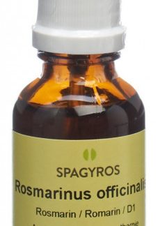Spagyros Gemmo Rosmarinus officinalis Glyc Maz D 1 Spr 30 ml