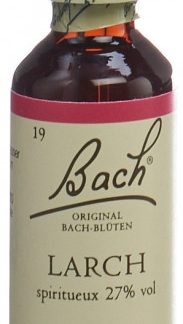 Bach-Blüten Original Larch No19 20 ml