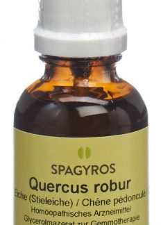 Spagyros Gemmo Quercus robur Glyc Maz D 1 Spr 30 ml