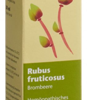 Spagyros Gemmo Rubus fruticosus Glyc Maz D 1 Spr 30 ml