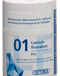 PHYTOMED SCHÜSSLER Nr1 Tabl D 12 lactosefrei 2000 Stk