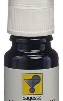 Odinelixir Magicienne Blütenessenz Fertigmischung Spr 10 ml x 2Stk