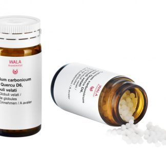 Wala Calcium carbonicum cum Quercu Glob D 6 Fl 20 g