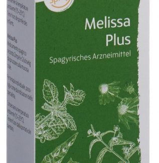 HEIDAK SPAGYRIK Melissa plus Spray Fl 30 ml