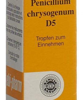 Sanum Penicillium chrysogenum Tropfen D 5 Fl 10 ml