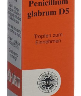 Sanum Penicillium glabrum Tropfen D 5 Fl 10 ml