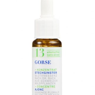 PHYTOMED Nr13 Bach Tropfen-Konzentrat alkoholfrei Pip Fl 10 ml