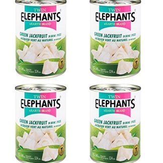 4 x Jackfruit in Water Meat Substitute Vegetarian Vegan Green Jacktree Fruit 4 x 540 g Jack Fruit Nangka