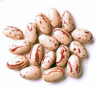 Rosecoco beans (quail beans) - 500 g