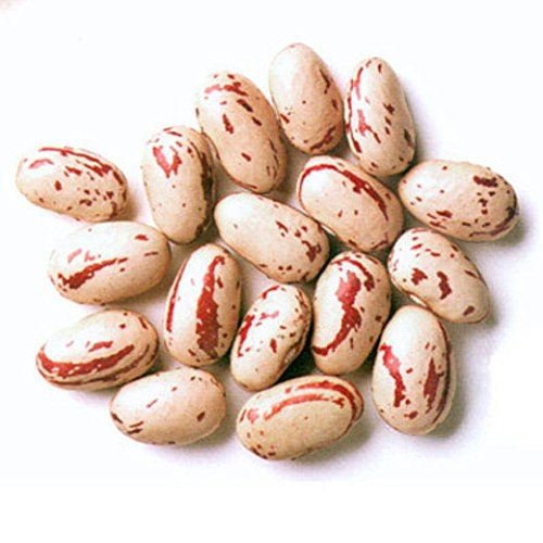 Rosecoco beans (quail beans) - 500 g